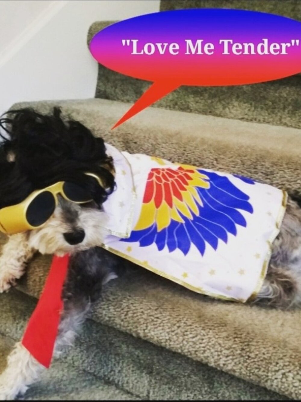 Elvis Dog Costume